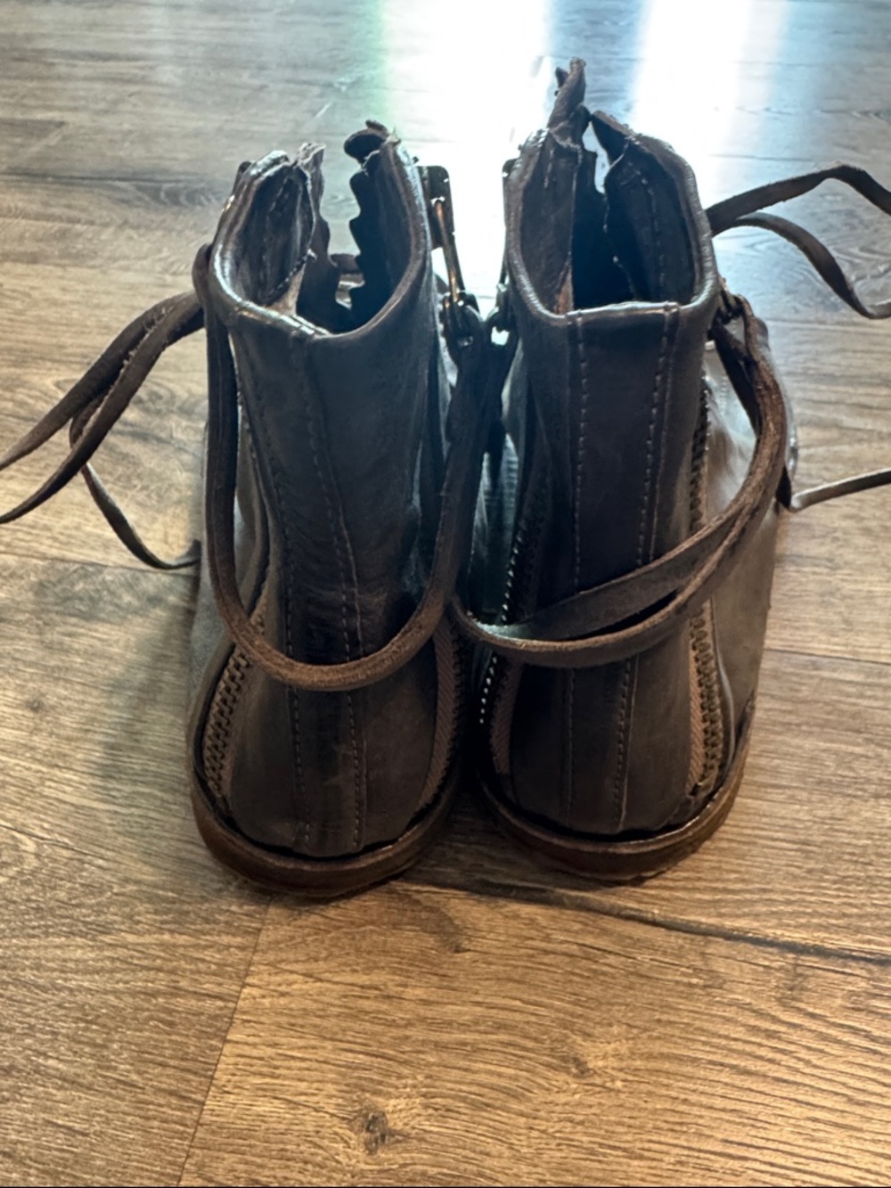 Rhett - Picture 3 of 6